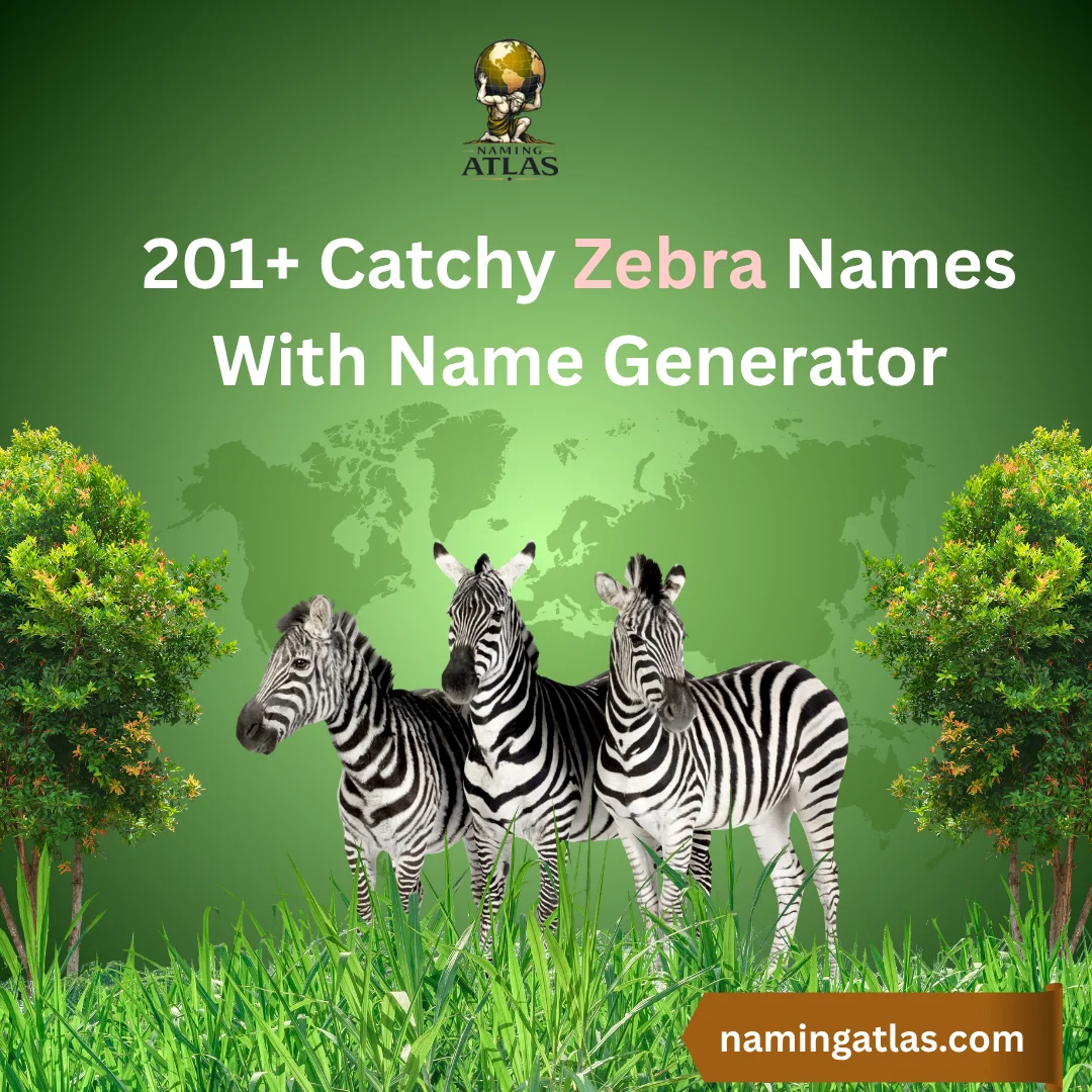 Catchy Zebra Names With Name Generator