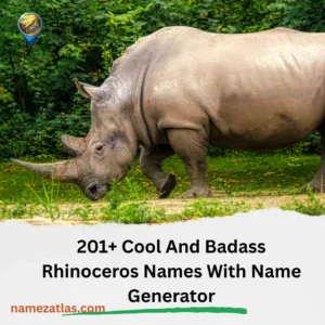 Cool And Badass Rhinoceros Names With Name Generator