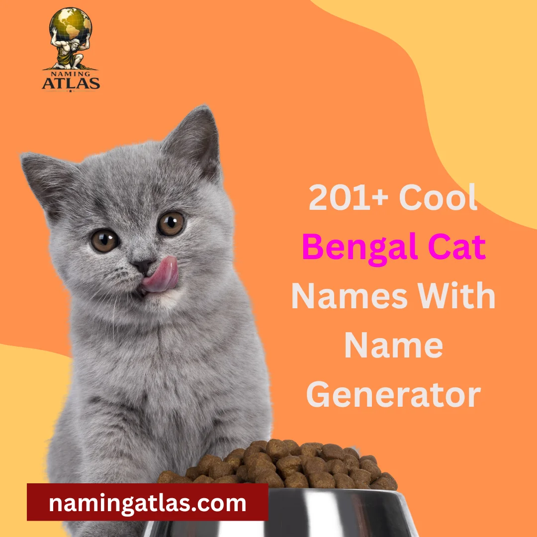 Cool Bengal Cat Names With Name Generator