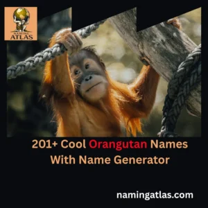 Cool Orangutan Names With Name Generator