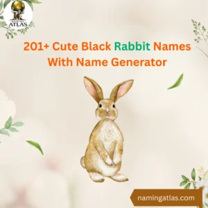 Cute Black Rabbit Names With Name Generator