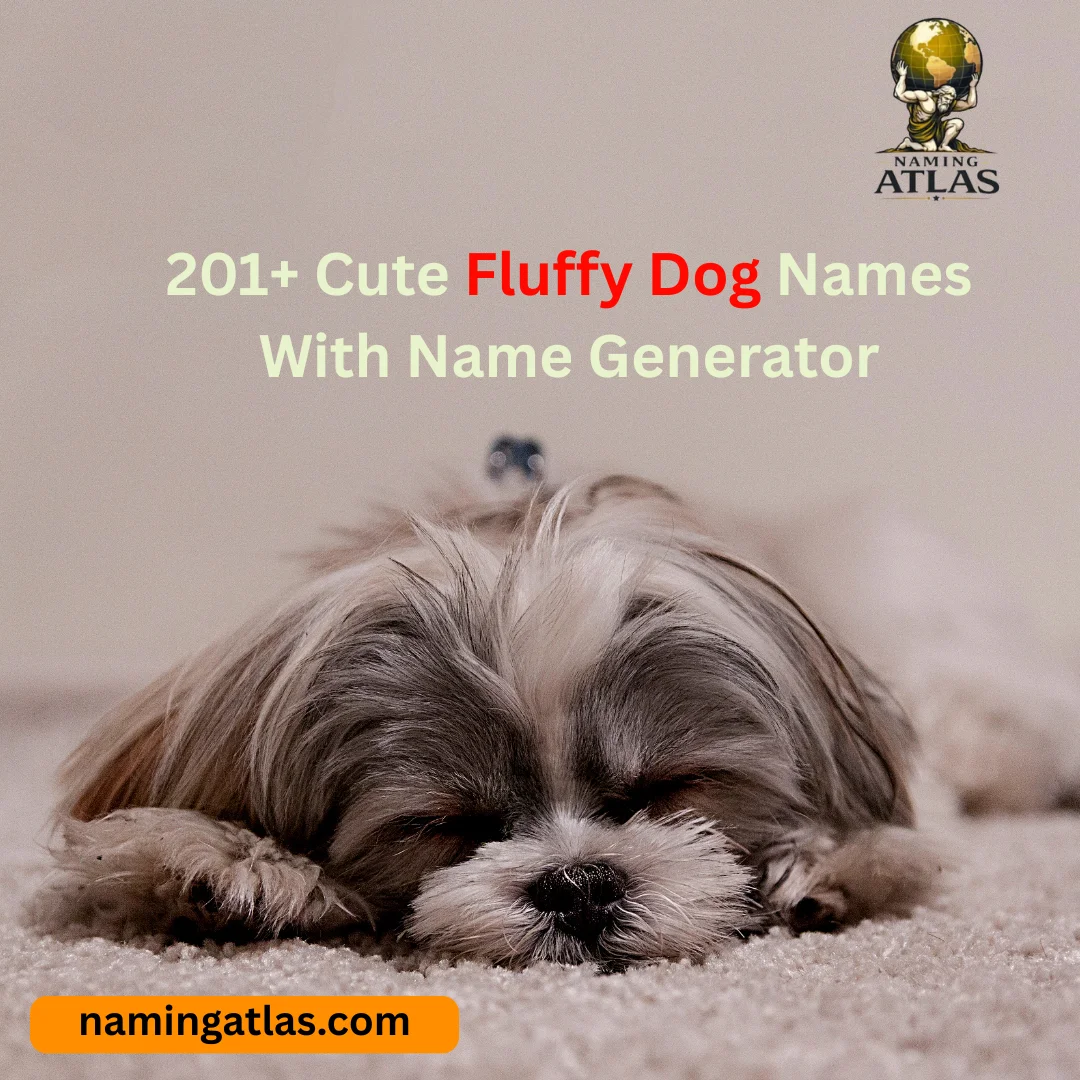 Cute Fluffy Dog Names With Name Generator