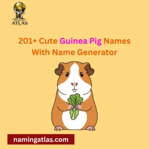 Cute Guinea Pig Names With Name Generator