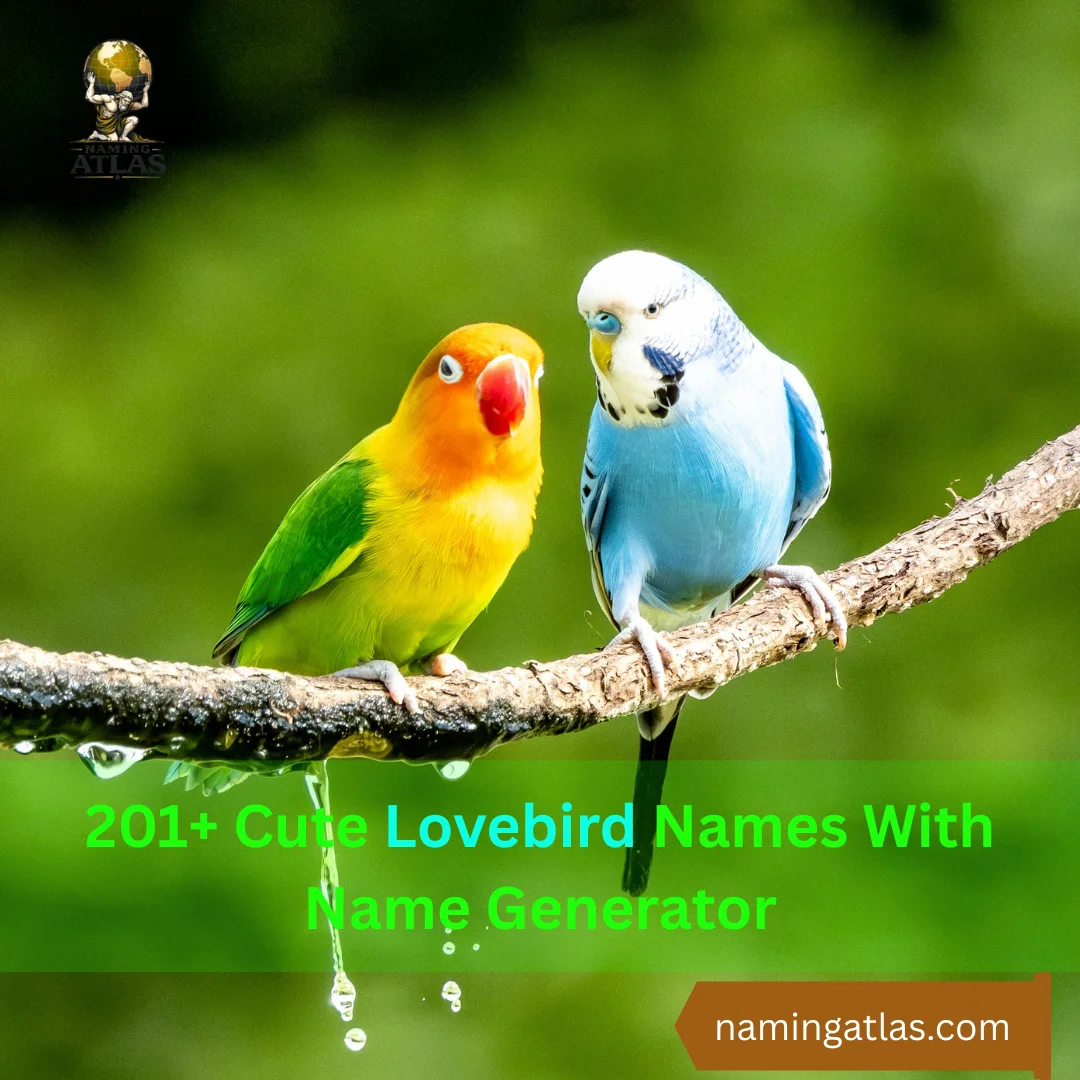 Cute Lovebird Names With Name Generator