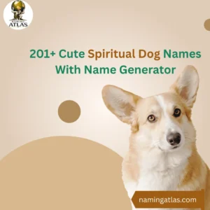 Cute Spiritual Dog Names With Name Generator
