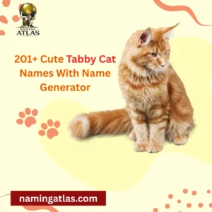 Cute Tabby Cat Names With Name Generator