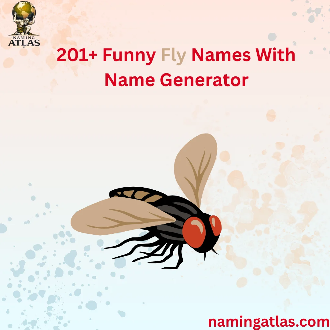Funny Fly Names With Name Generator