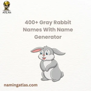 Gray Rabbit Names With Name Generator