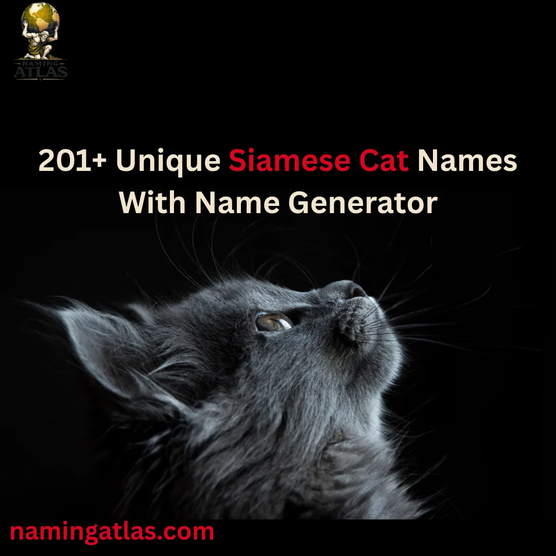 Unique Siamese Cat Names With Name Generator