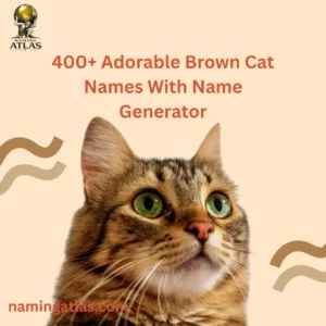Adorable Brown Cat Names With Name Generator