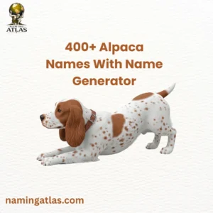 Adorable Spotted Dog Names With Name Generator
