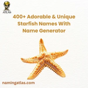 Adorable & Unique Starfish Names With Name Generator
