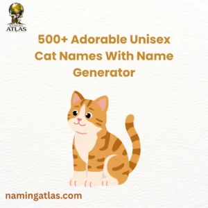 Adorable Unisex Cat Names With Name Generator