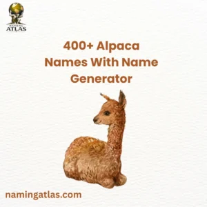 Alpaca Names With Name Generator