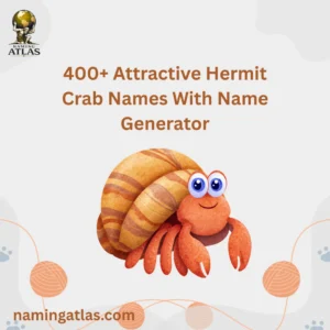 Attractive Hermit Crab Names With Name Generator
