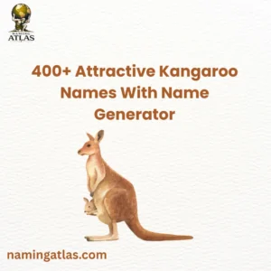 Attractive Kangaroo Names With Name Generator