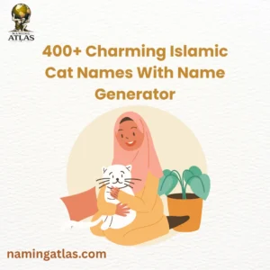 Charming Islamic Cat Names With Name Generator