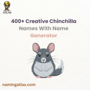 Creative Chinchilla Names With Name Generator