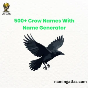 Crow Names With Name Generator