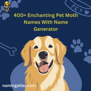 Enchanting Pet Moth Names With Name Generator