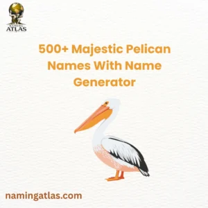 Majestic Pelican Names With Name Generator