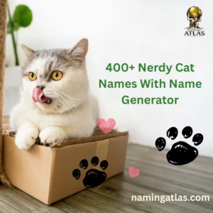 Nerdy Cat Names With Name Generator
