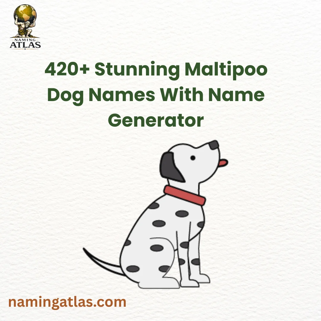 Stunning Maltipoo Dog Names With Name Generator