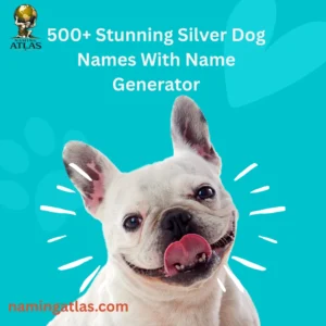 Stunning Silver Dog Names With Name Generator
