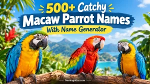 Catchy Macaw Parrot Names With Name Generator